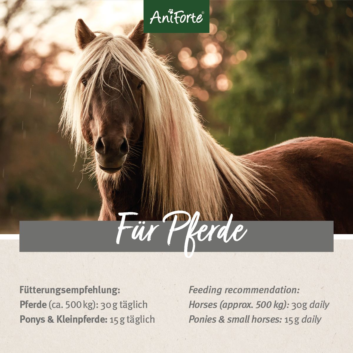 AniForte Flohsamenschalen für Pferde