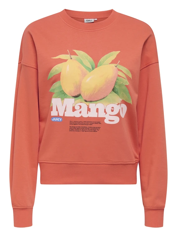Only Sweater Philea 15351693