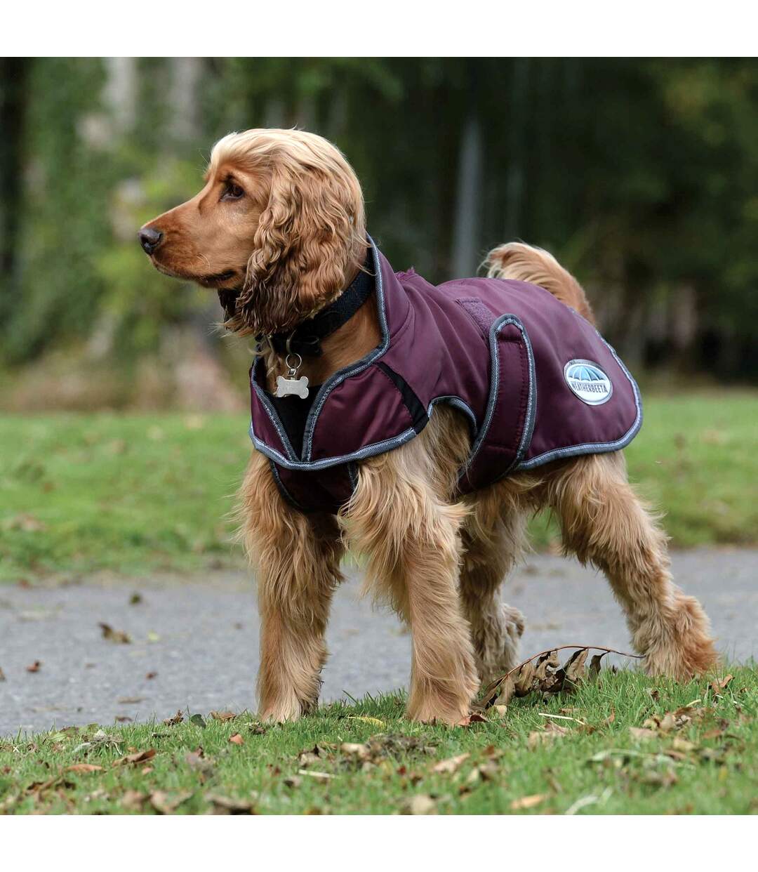 Weatherbeeta - Manteau pour chiens COMFITEC WINDBREAKER FREE DELUXE (Bordeaux / Gris / Blanc) (25 cm) - UTWB1651