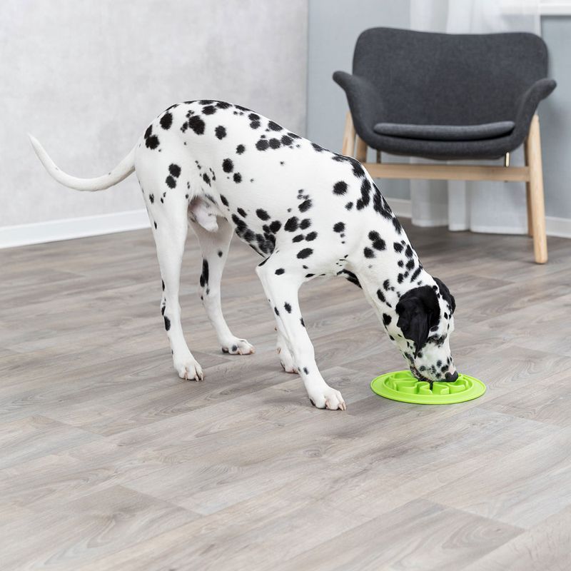 Gamelle en silicone Trixie Slow Feed