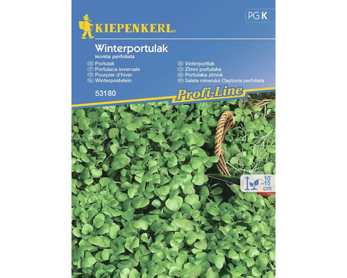 Winterpostelein, Kiepenkerl erfgoedzaden, groentezaden