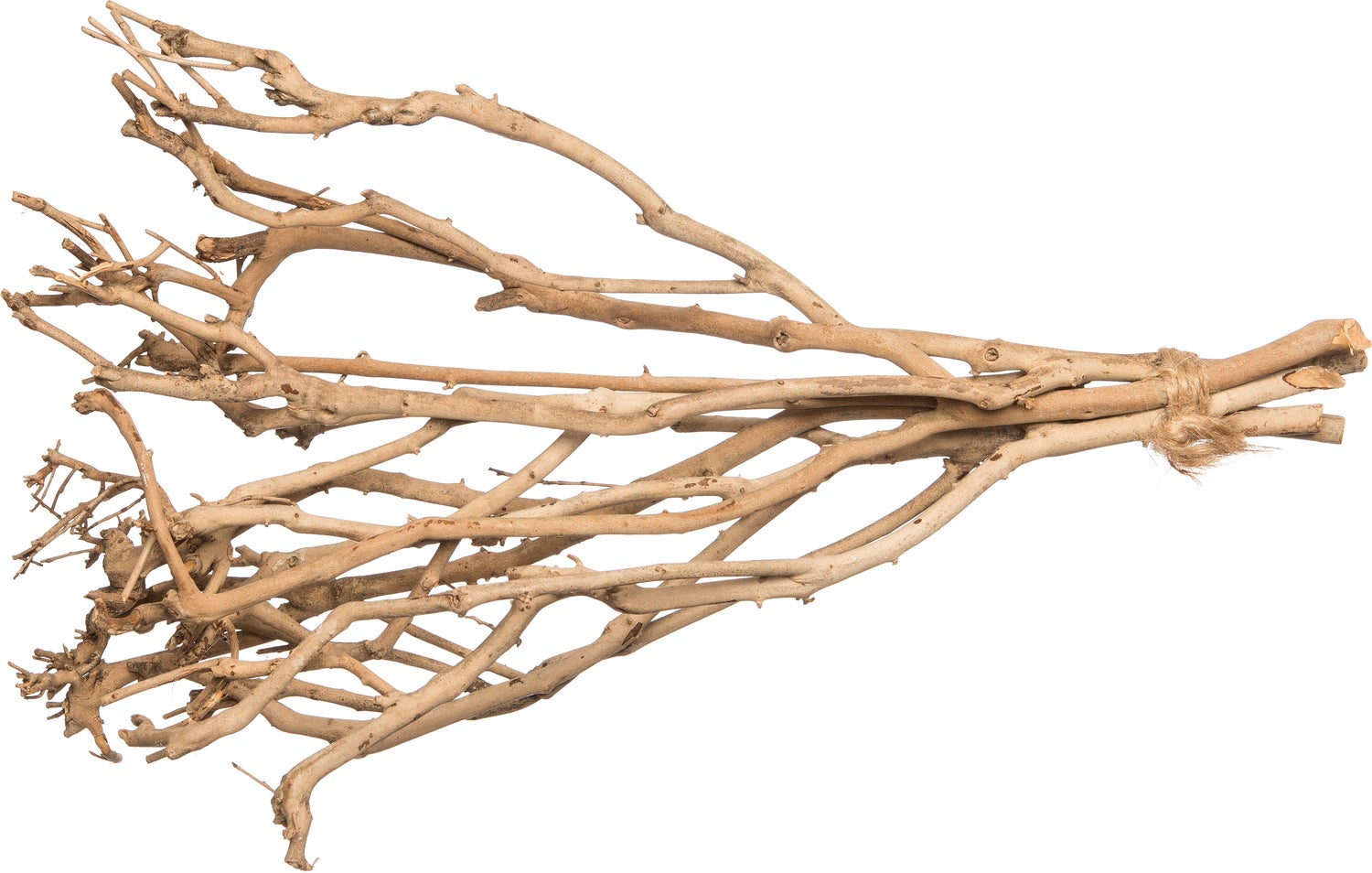 Intratuin houten tak naturel 45 cm