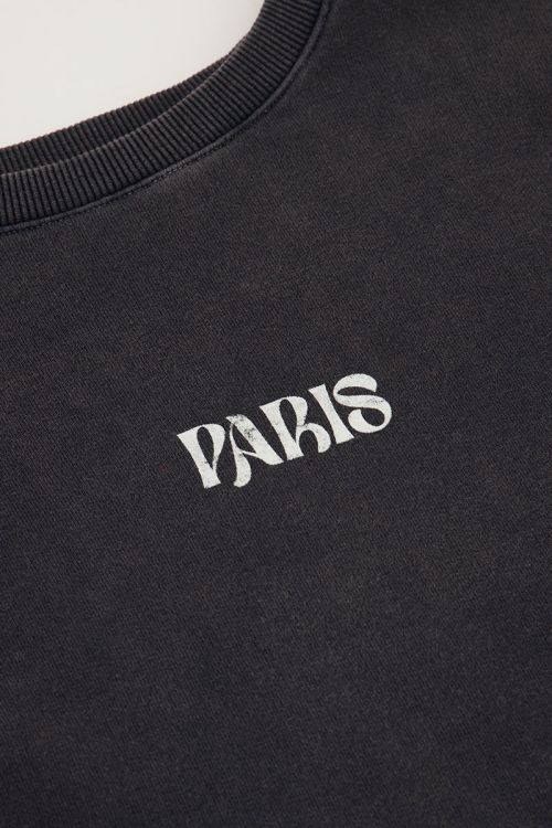 Grijze sweater Paris met bloemen
