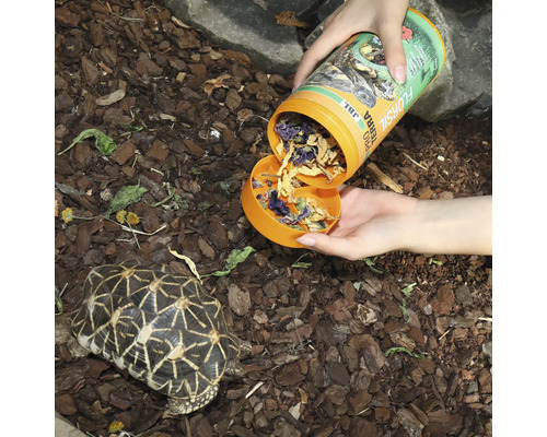 JBL PROTERRA FLORSIL schildpaddenvoer, hoofdvoer met bloemen voor alle landschildpadden, 250 ml
