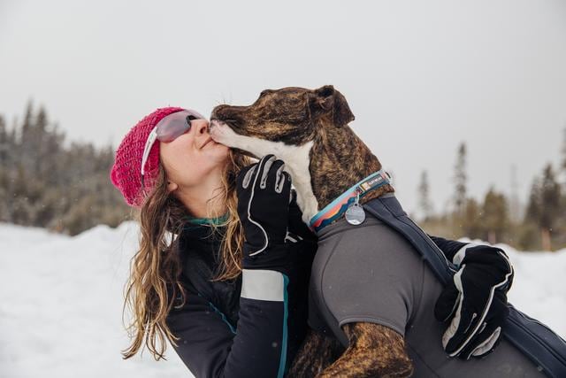 Ruffwear Cloud Chaser Soft Shell Jacket<br> Vann- og vindtett soft shell!