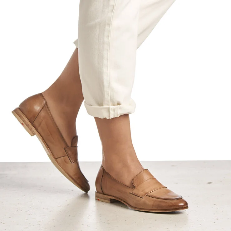 Lloyd 05772605 Brown