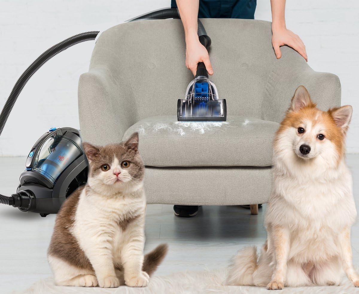 AG AG3100 Bagless Vacuum Cleaner - Vacuum Cleaners - Vacuum Cleaner Bagless - Suitable for Animal Hair -900W - Strong Suction Power - Blue