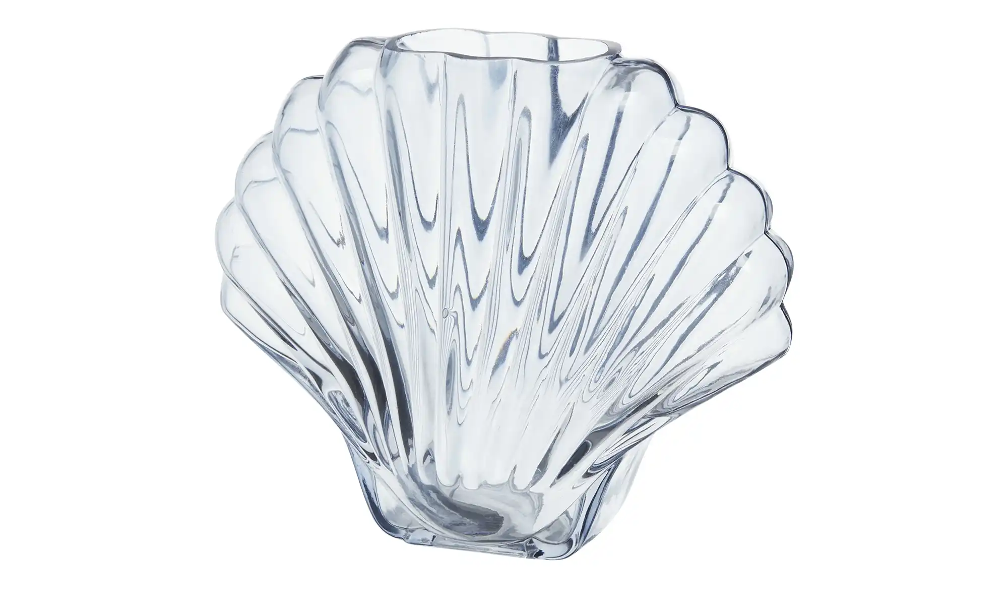 Vase  Muschel