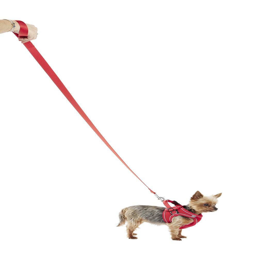 Harnais pour chien avec laisse rouge Taille M