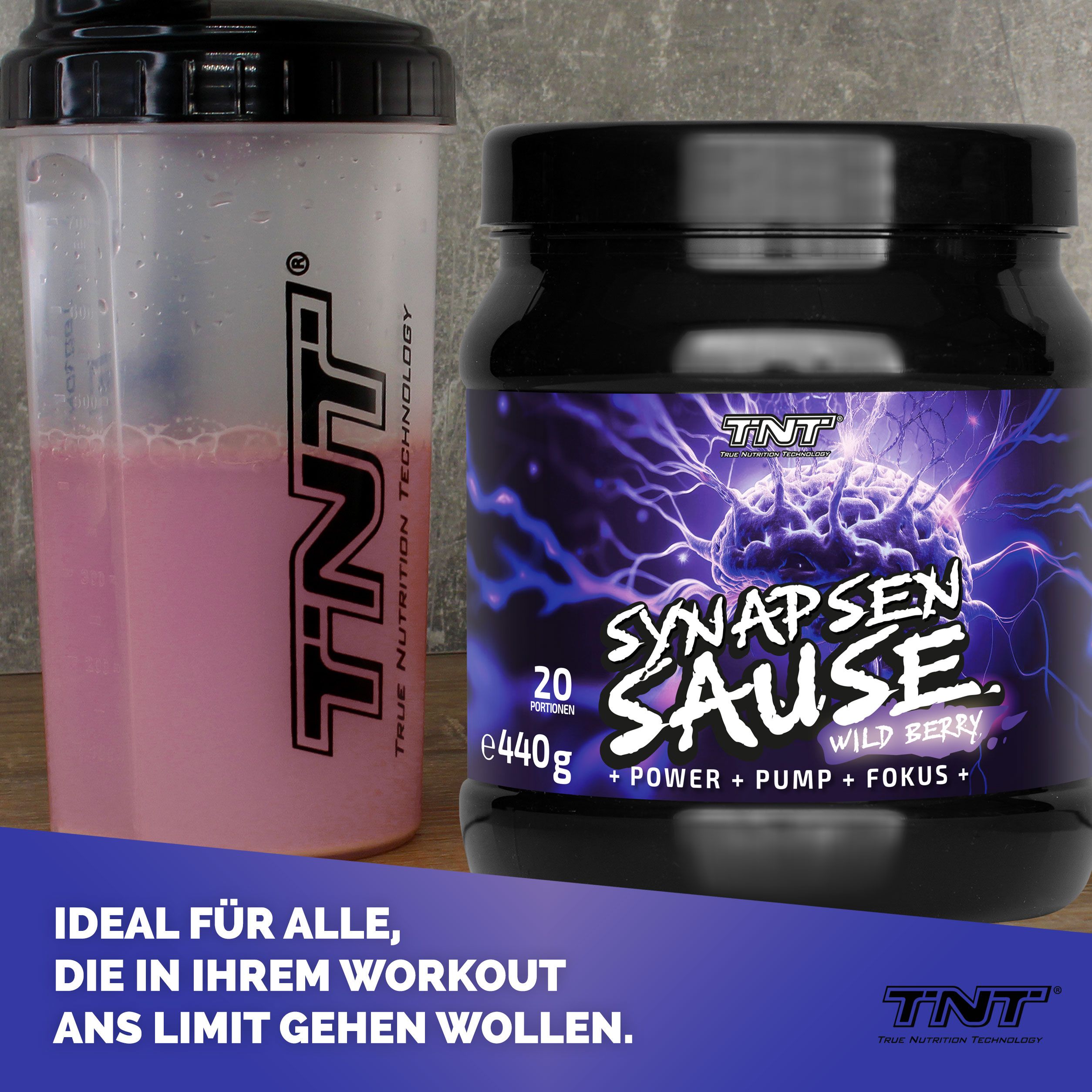 TNT Synapsensause