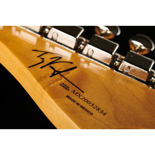Fender Troy V Leeuwen Jazzmaster MN