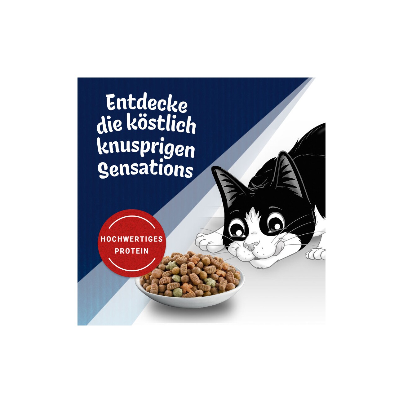 Felix Farmhouse Sensations Huhn & Truthahn 1 kg
