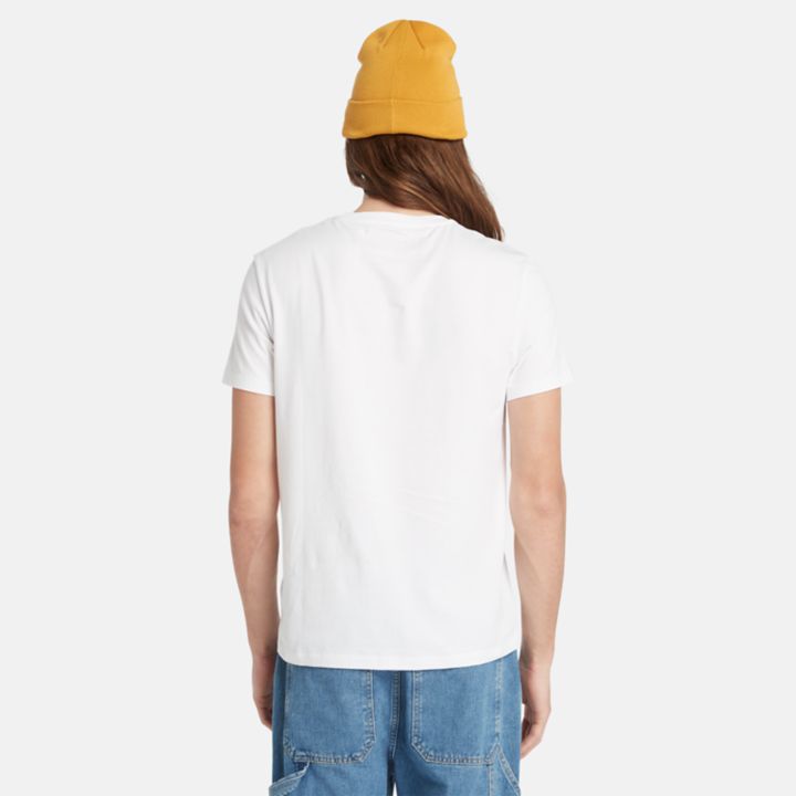 Conjunto de 3 camisetas básicas de malha redonda para homens na cor branca.