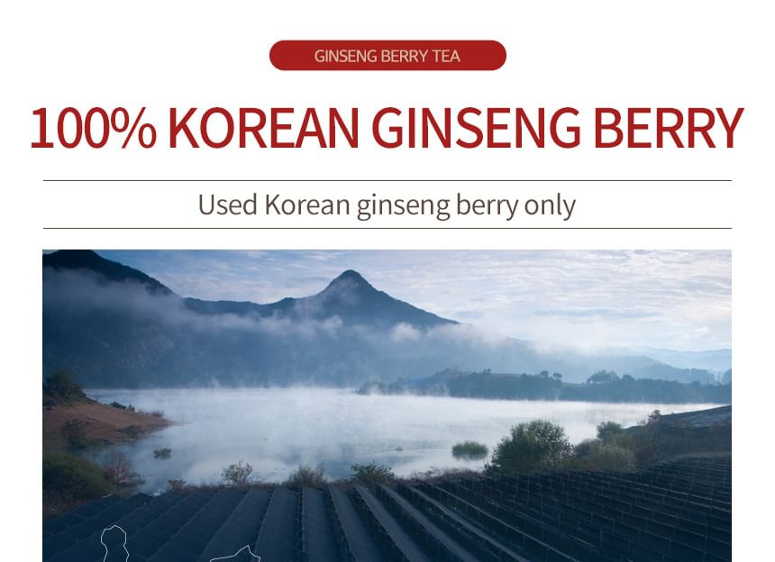 JUNGWONSAM - Koreaanse ginsengbessentheebundelset
