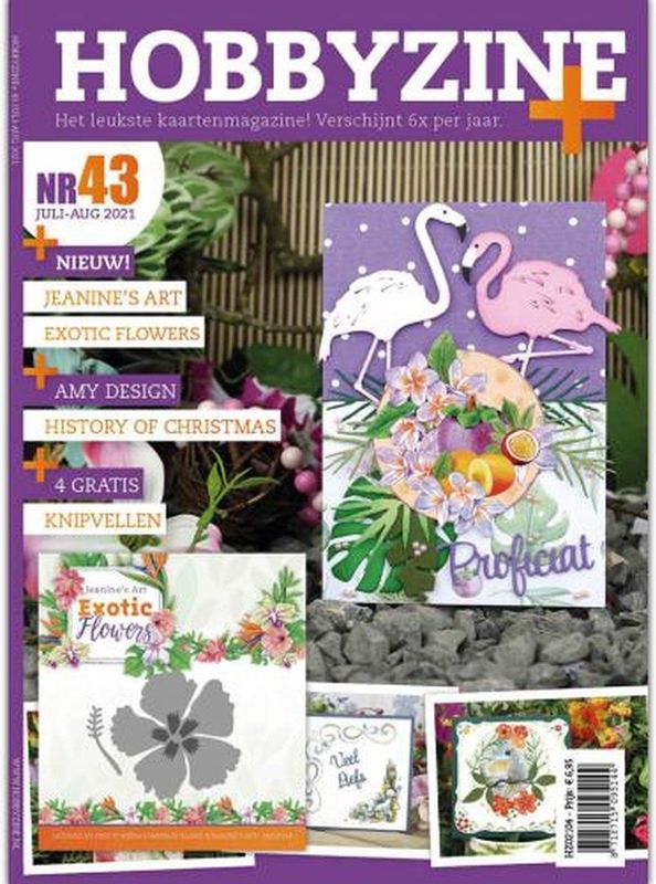 HZ02104 Hobbyzine plus nr 43