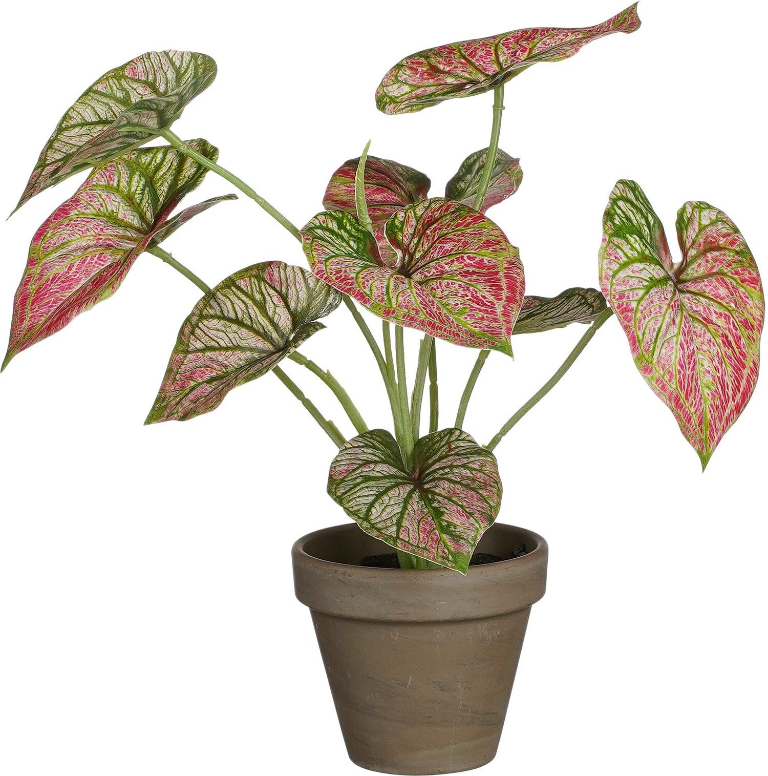 Mica Decorations kunstplant Caladium paars H 28 D 21 cm