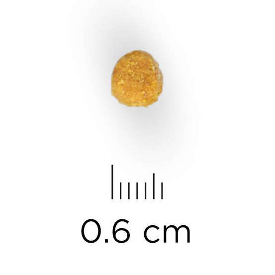 Croquettes chat adulte stérilisé au thon Super Premium - 1,5 kg