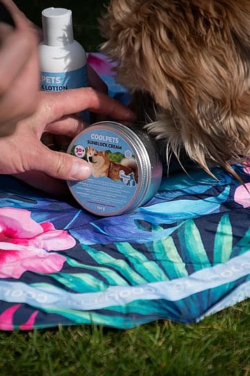 Coolpets Zonnebrand Sunblock Creme Hond 150 gram | 12219