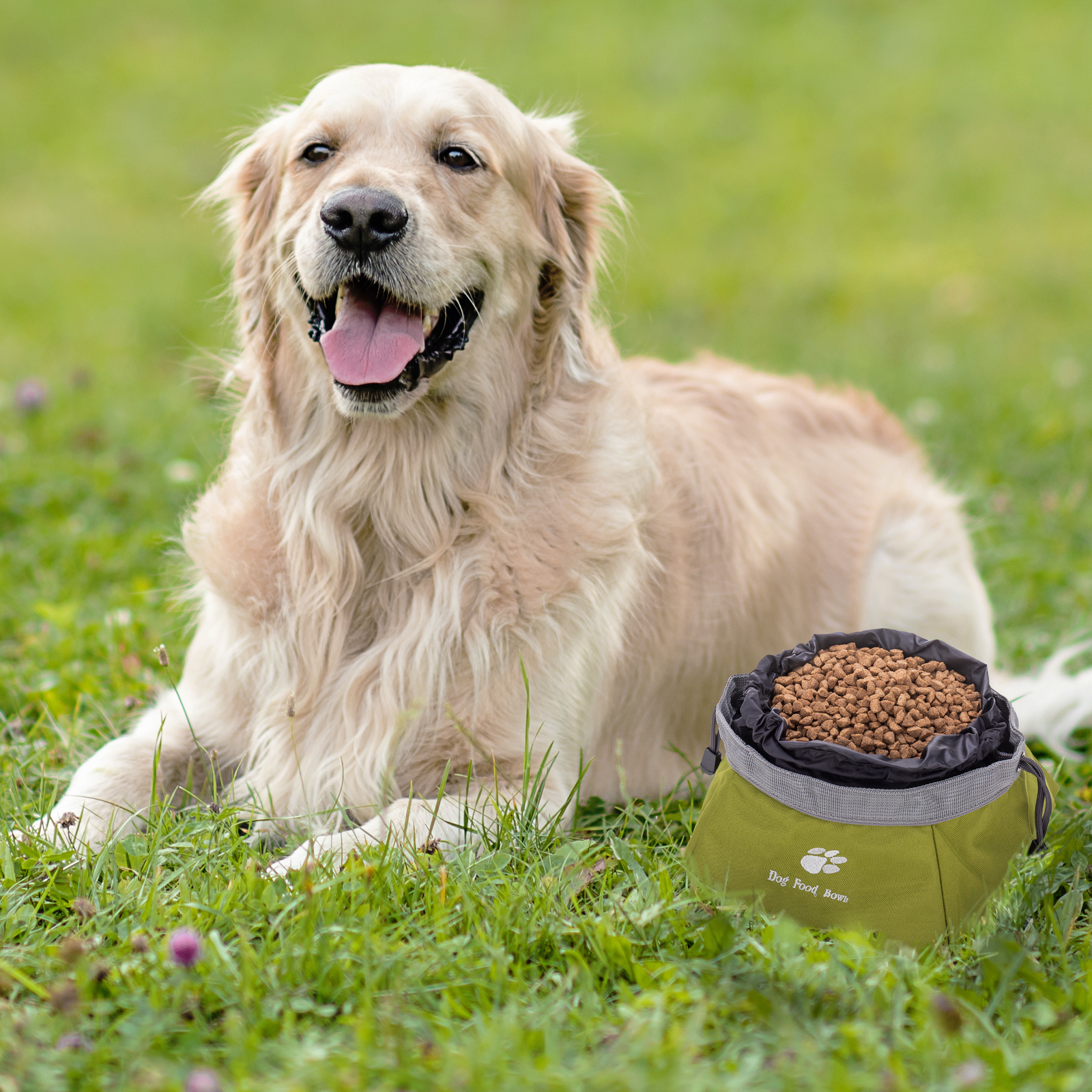 comedouro dobrável para animais de estimação