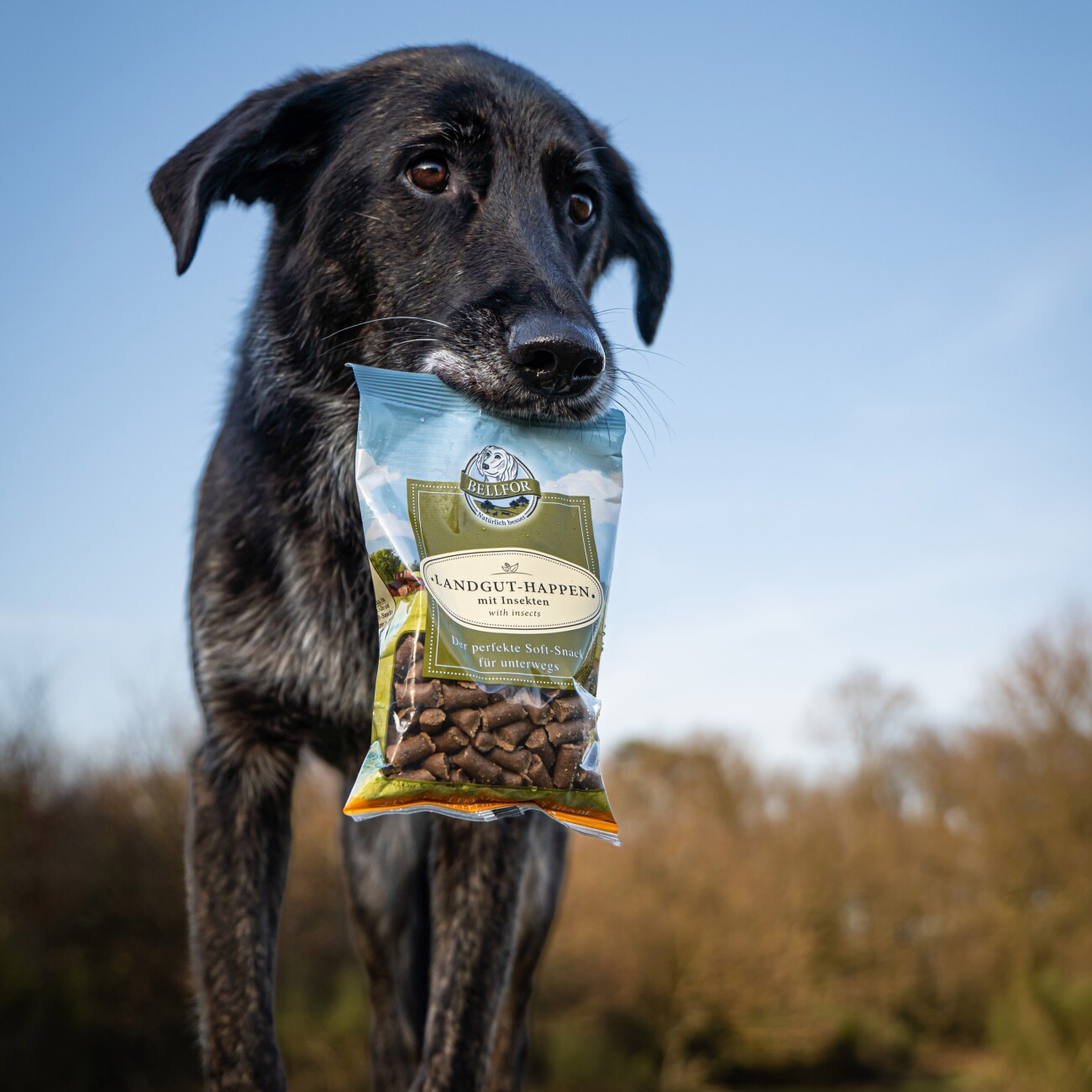 Bellfor Soft Snacks für Hunde mit Insekten - Landgut-Happen - 200g