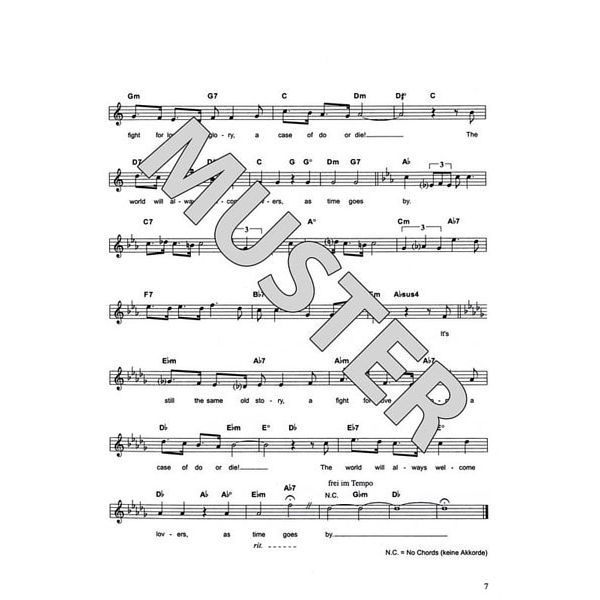 Hildner Musikverlag Der Alleinunterhalter