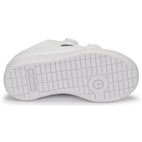 Lacoste - CARNABY EVO BL 21 1 SUI Blanco
