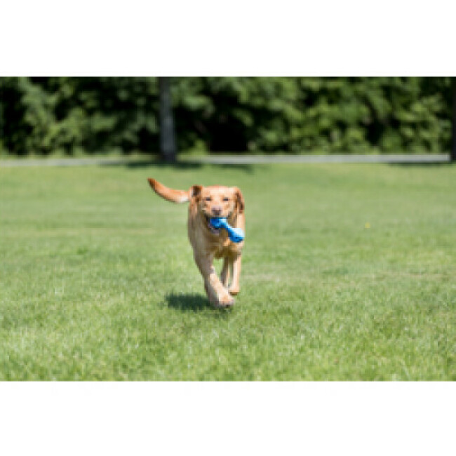 Haltère rafraîchissante Trixie pour chien