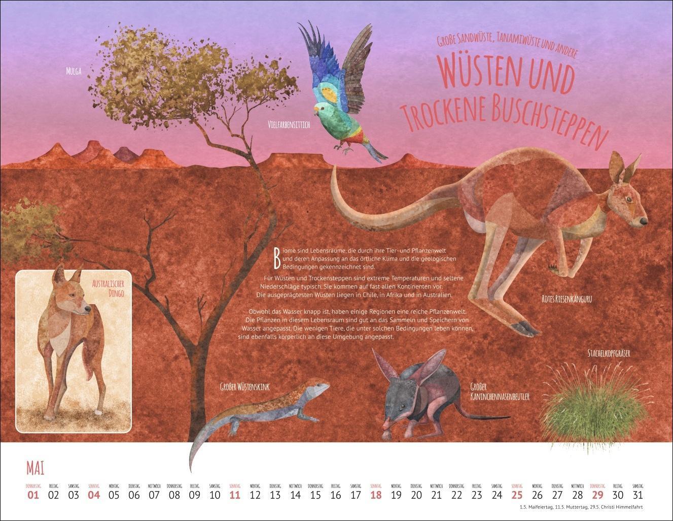Wo Tiere und Pflanzen zu Hause sind Kalender 2025 - Biome der Welt