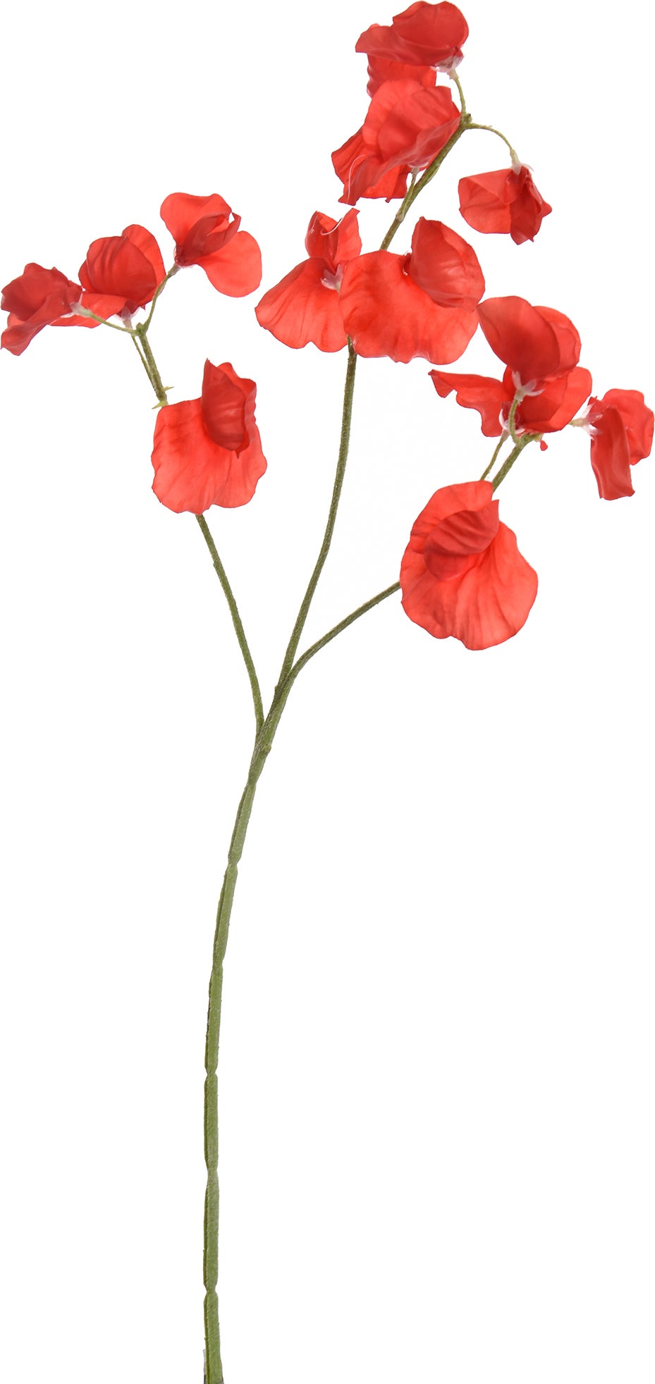 Jasaco PURE kunstbloem Lathyrus rood 66 cm