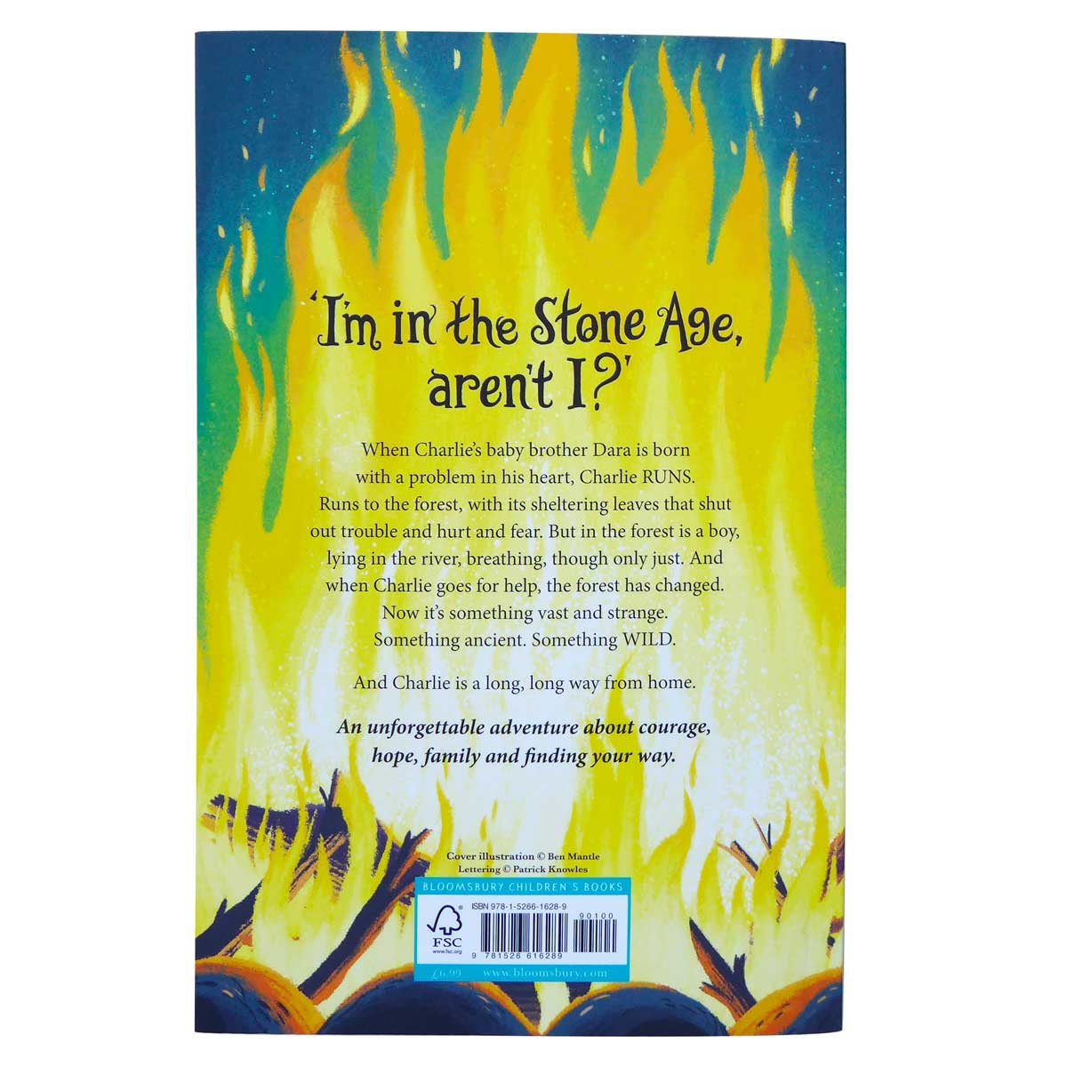 The Wild Way Home (Paperback)