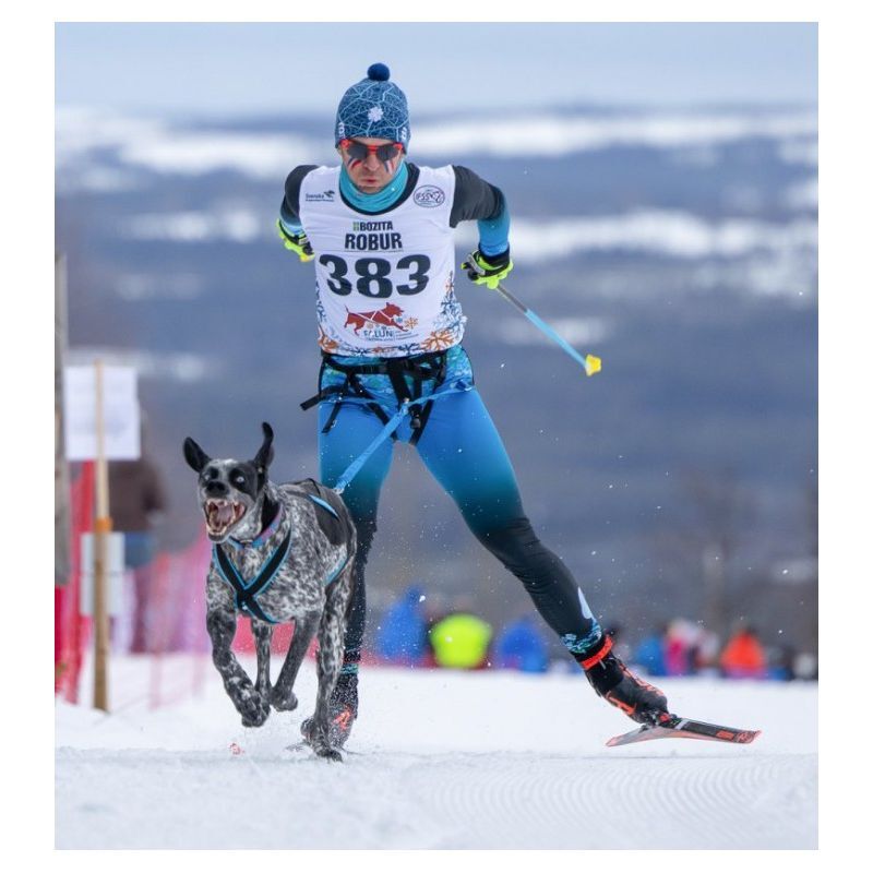 Skijor Pro - Laisse pour chien