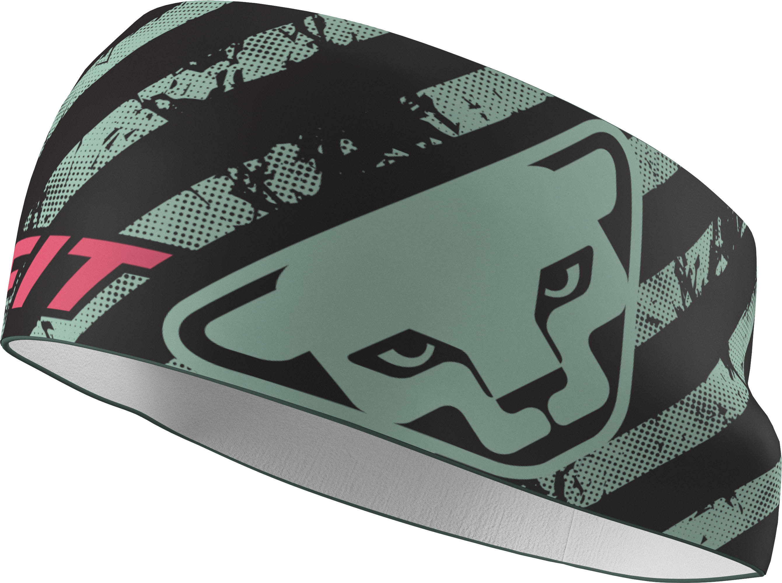 Dynafit Graphic Performance Headband