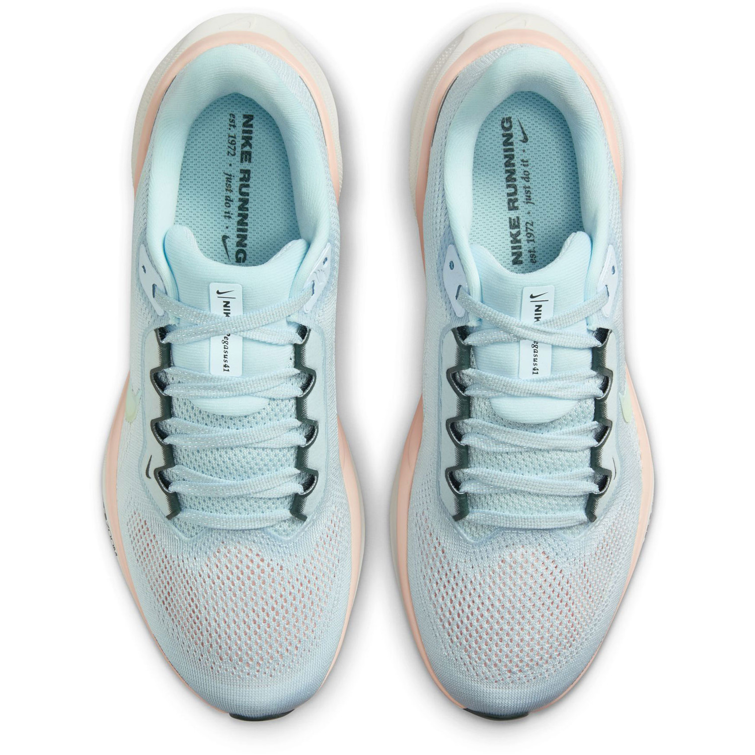 Nike Pegasus 41 PRM Dames