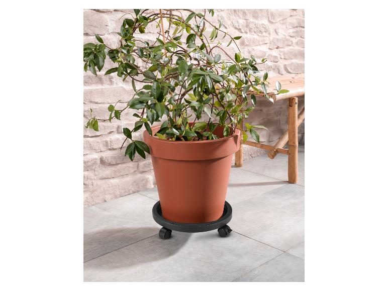 Plantentrolley