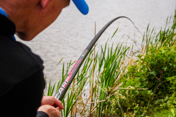Canne fixe Preston Dura Carp
