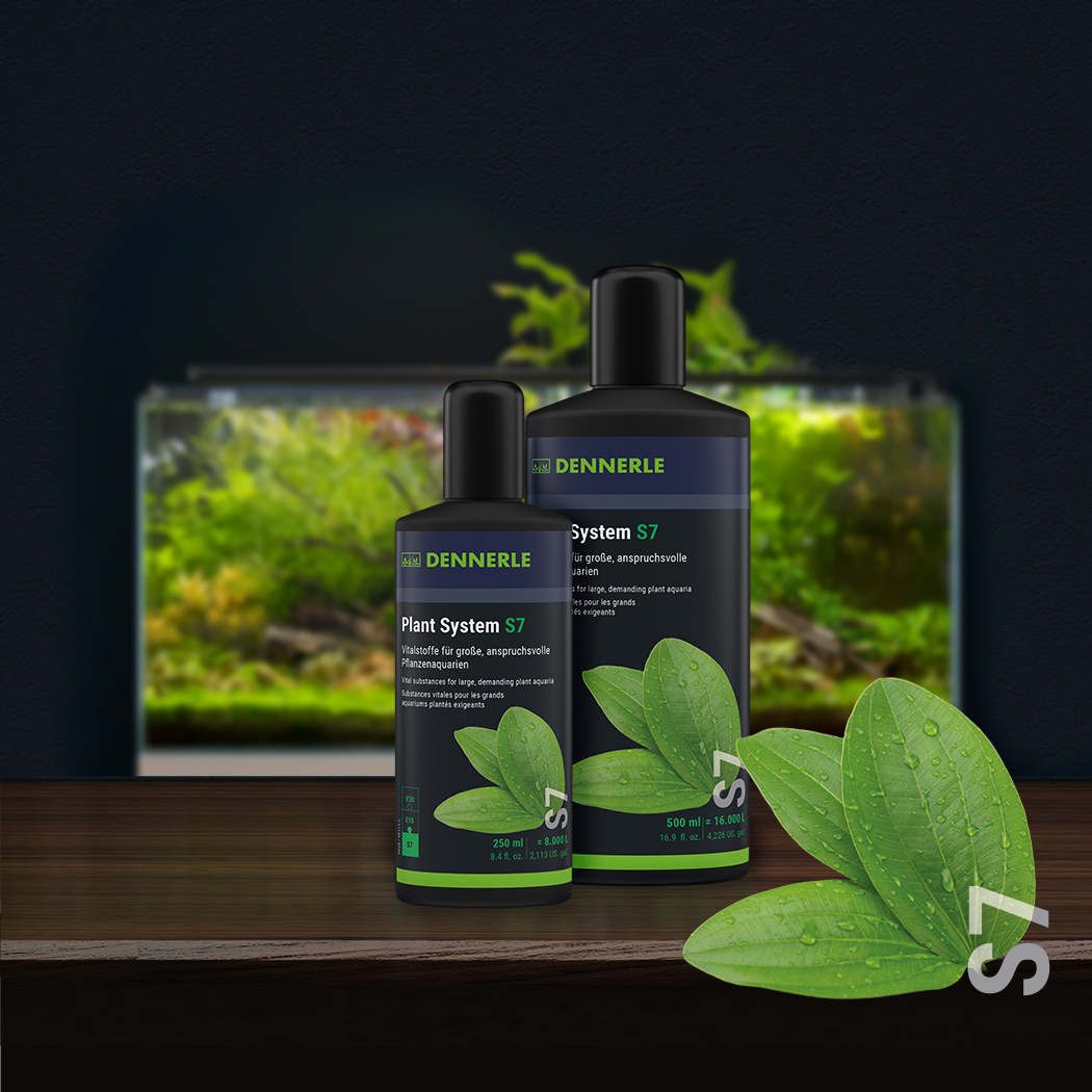 Dennerle Plant System S7 250ml | Plantenvoeding