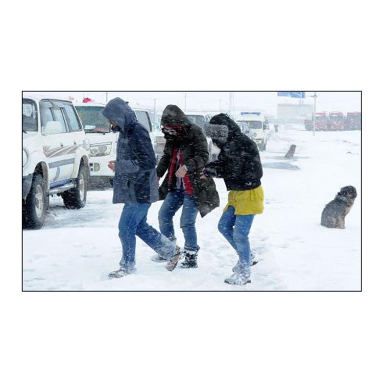 (1 Paar) Schuhspikes Schneeschuh-Krallen Grödel Schneeketten mit 8 Zähnen für Eis und Schnee