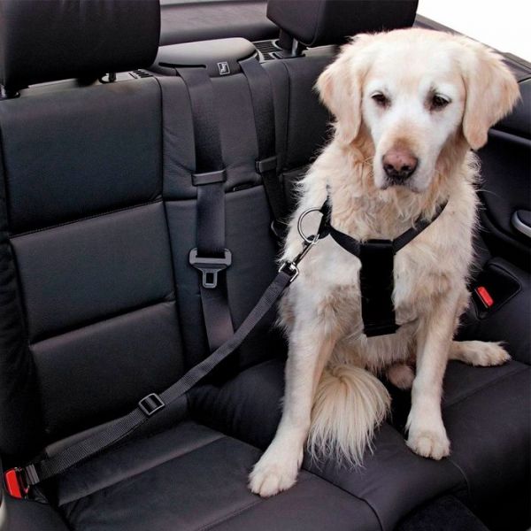 Kerbl Cinto Segurança P/cão S