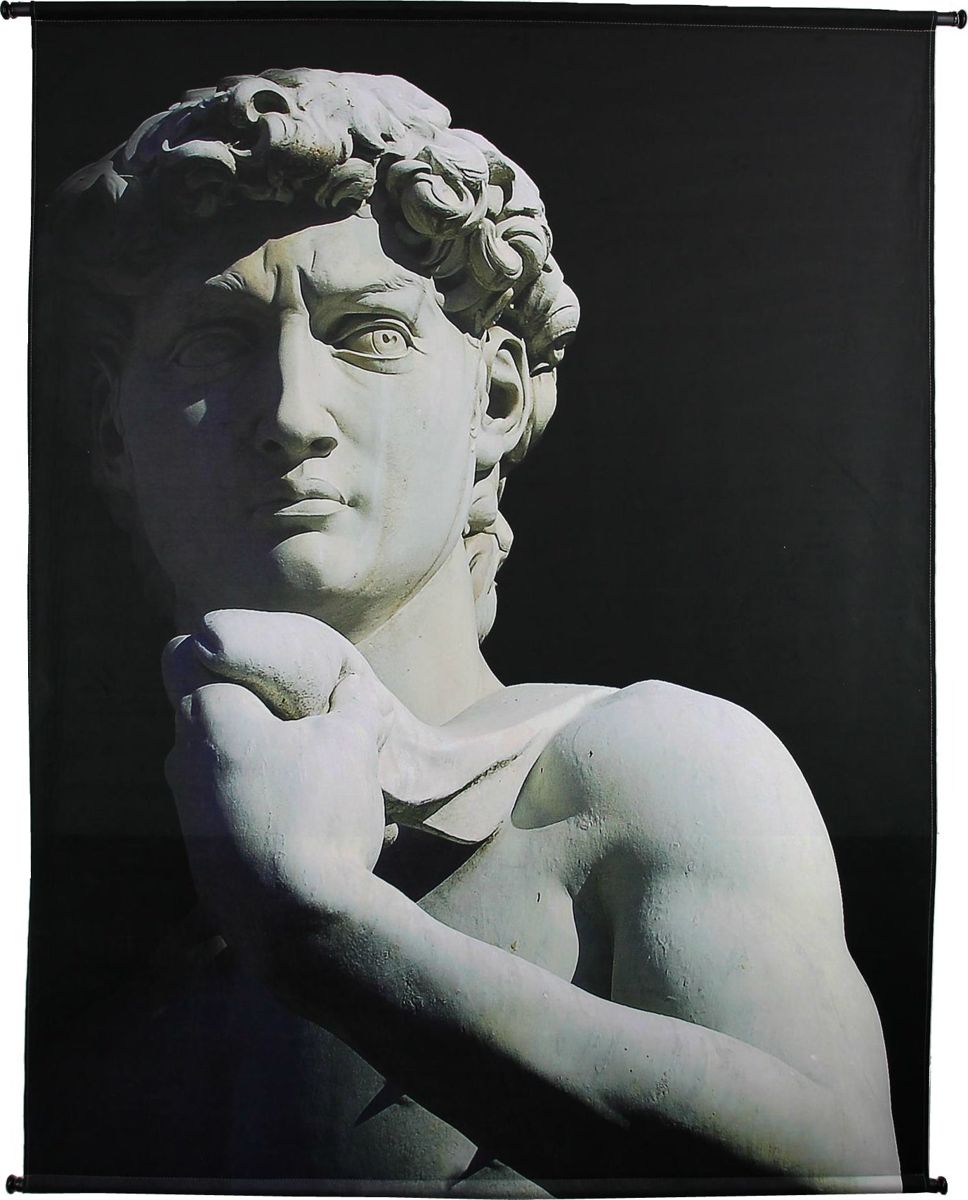 HD Collection wandkleed David zwart / wit 146 x 110 cm