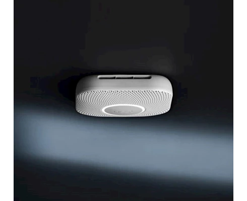 Google Nest Protect Battery