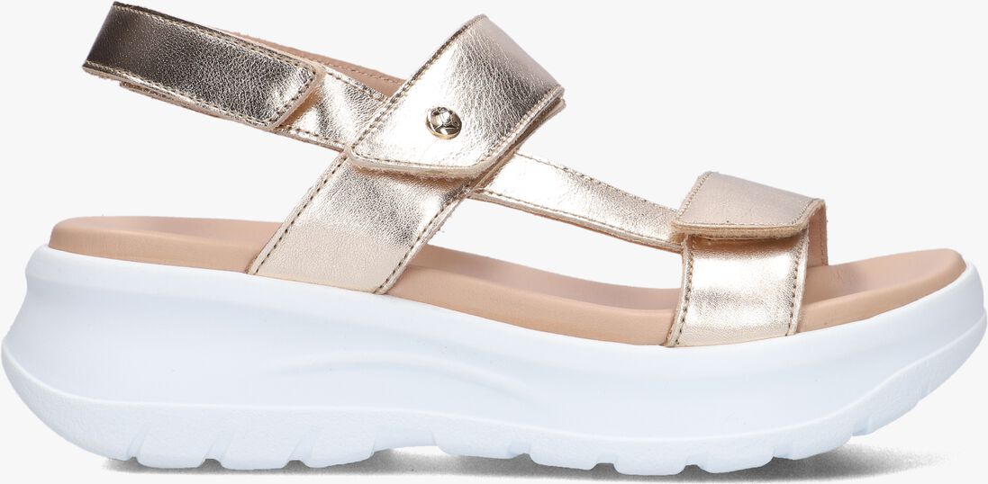 PANAMA JACK gouden panama jack sandalen noor