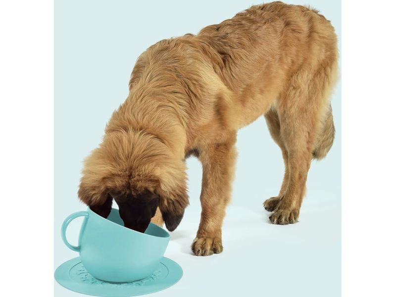 United Pets Hundenapf Cup Aquamarine, 2.5 l Blauer Napf für Hunde