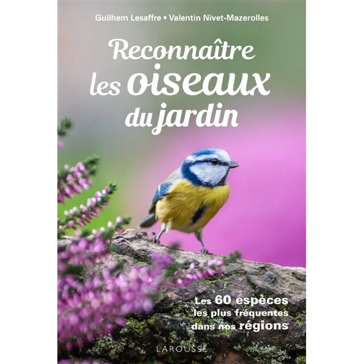 Reconnaître les oiseaux du jardin : les 60 espèces les plus fréquentes dans nos régions