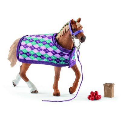 English Thoroughbred With Blanket