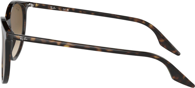 Ray-Ban RB2204 Havana