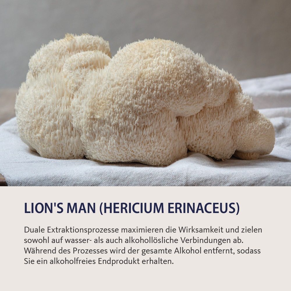 Vitalpilze Lion's Mane Tropfen ohne Alkohol