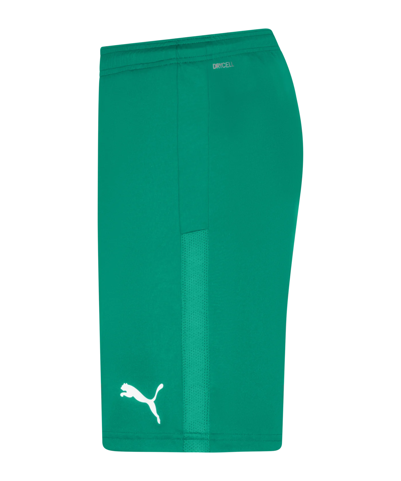 PUMA teamGOAL 23 Knit Short Grün F05
