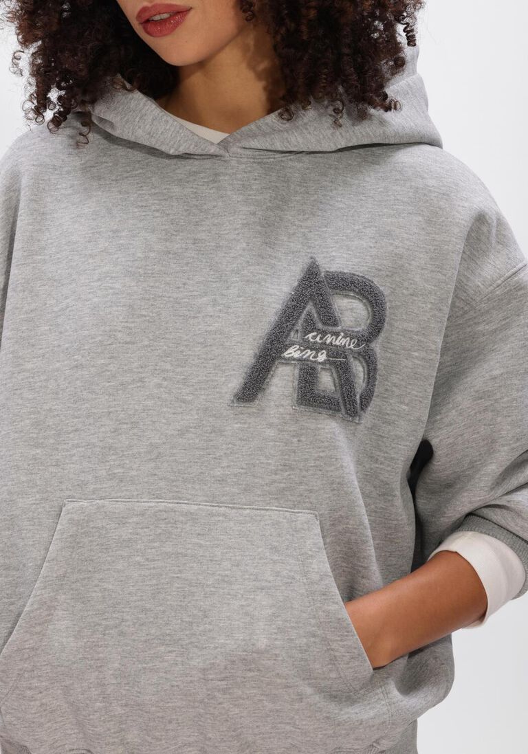 grijze anine bing truien/vesten jaci hoodie letterman