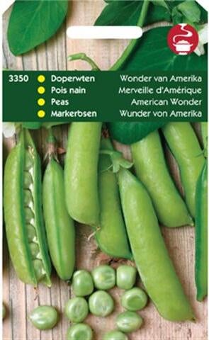 groentezaad Doperwt (Pisum sativum 'Wonder van Amerika')