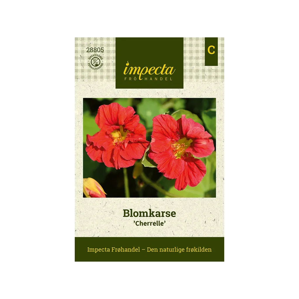 Tropaeolum majus 'Cherrelle' Blomkarse 'Cherrelle'